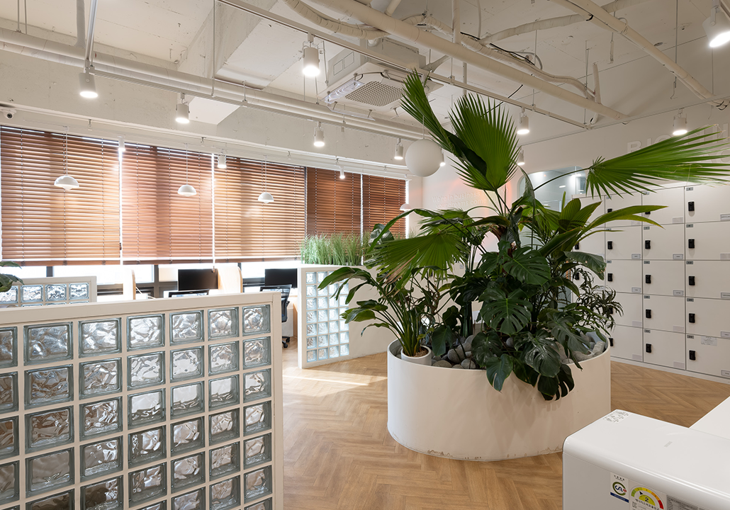 드림캐쳐스 3호점